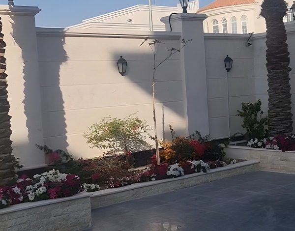 WhatsApp Image 2025-02-02 at 3.23.15 PM WhatsApp Image 2025-02-02 at 3.23.15 PM